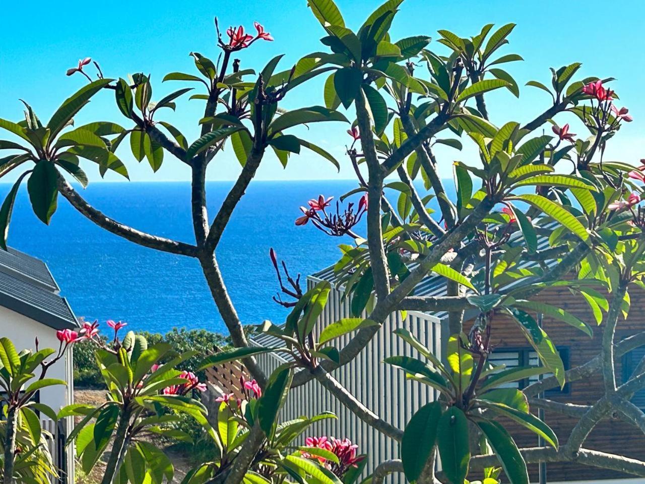 דירות פטיט איל Le Reve Bleu Grand Anse מראה חיצוני תמונה